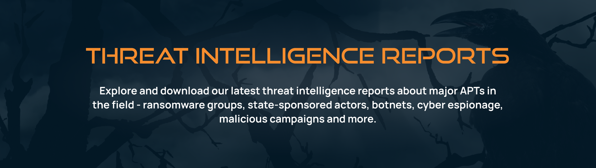 Threat Intelligence Reports